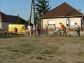 IMG_11