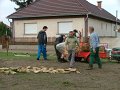 IMG_10