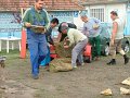 IMG_12