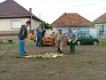 IMG_45