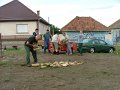 IMG_46