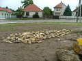 IMG_61
