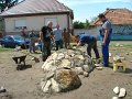 IMG_73