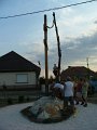 IMG_24